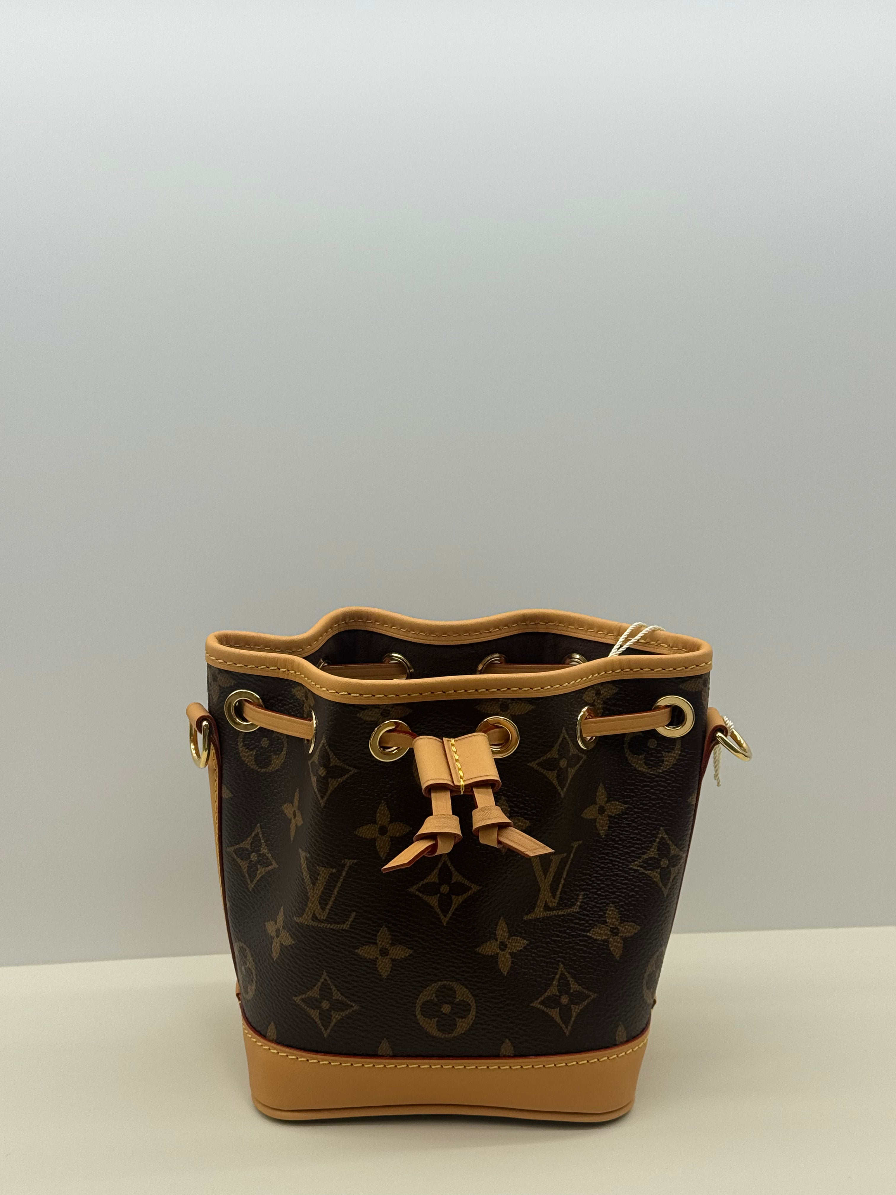Louis Vuitton Monogram Nano Noe NV