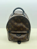 Louis Vuitton Monogram Palm Springs Backpack Mini