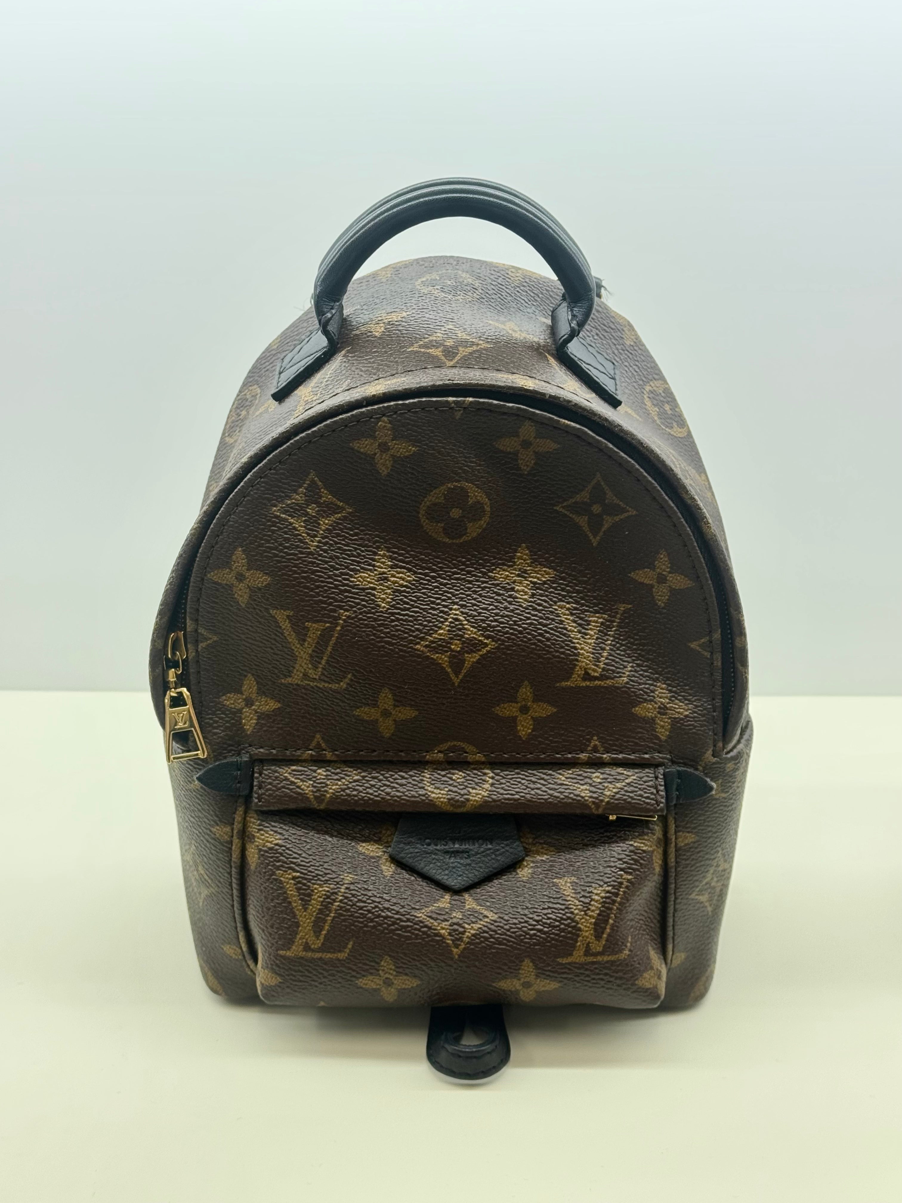Louis Vuitton Monogram Palm Springs Backpack Mini