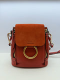 Chloe Faye Mini Backpack